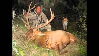 Sweet Child O'Mine Guitar Cover