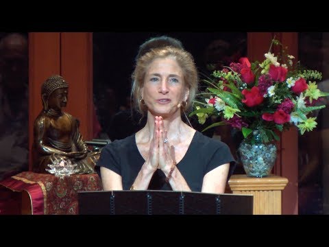 Tara Talks: Reflection on Stories - with Tara Brach