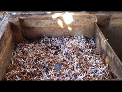 Large outdoor worm bin update (3/16/2019)