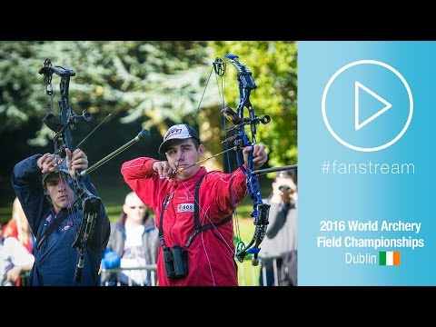 Steven Collins v Nico Wiener – compound junior men gold | Dublin 2016 World Field