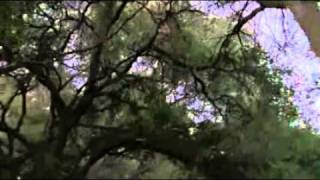 Chuck vs The Movies ~ Hot Shots!