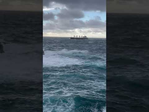 Sestre s Danača pozdravljaju AP Revelin