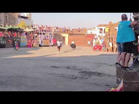 Torus de San Roqui 2026. Video de Chao