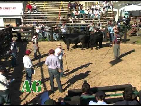 Lunes  16 de Julio de 2012