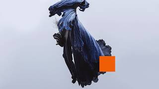 art cover