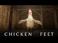 BAYANGKAN AYAM RAKSASA DATANG MENGEJARMU Chicken Feet