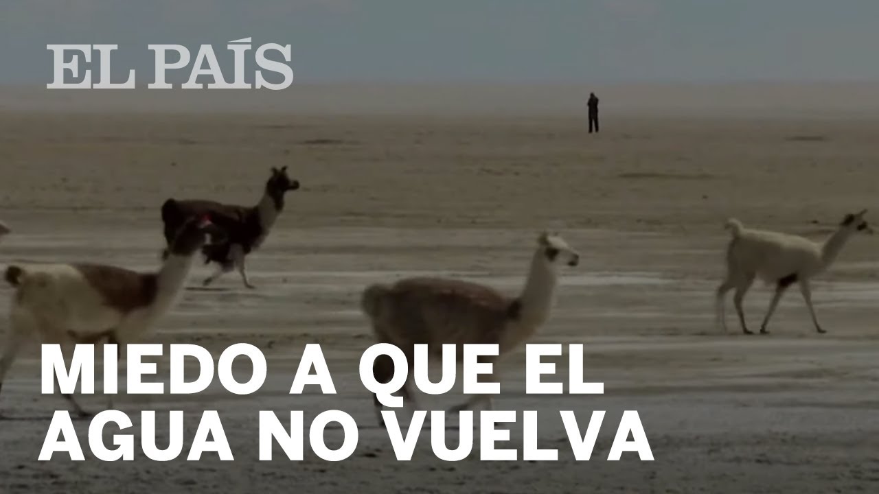 youtube video id=QSlU8t69SDs