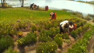 preview picture of video 'VI Encuentro Regional de Turismo Rural Comunitario Destino Lago Titicaca 2013'