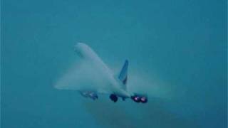 GAS - Königsforst #5