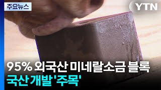 95% 외국산 미네랄소금 블록...탁월한 국산 개발 '주목' / YTN