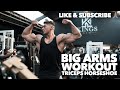 Andrei Deiu BIG ARMS (Alien Triceps) *Full Workout*