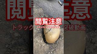 【閲覧注意】トラックによる検問突破動画