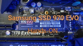 Samsung SSD 970 EVO Hands On deutsch 4k