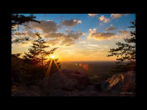 bora fırlangeç - güzel yüzlüm