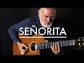 Shawn Mendes ft Camila Cabello - Senorita (Spanish Fingerstyle Guitar Cover by Igor Presnyakov)