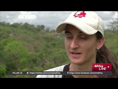 Drone technology to keep Kenyan elephants  away from danger