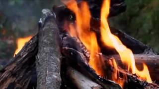 W.A.S.P. -  Hold On To My Heart (tradução)