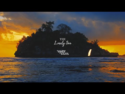 Randy De Silva  -The Lonely Sea [Future Avenue]