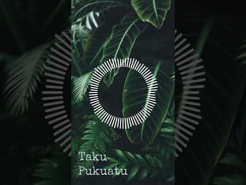 Taku Pukuatu x MiNZo x KiiKii