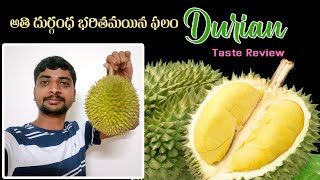 Durian Fruit Taste Review || in Telugu || Aadhya Organic Farm