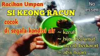 Download lagu The most effective bait mix that catfish like in all water conditions - galatama lele/daily lele mp3