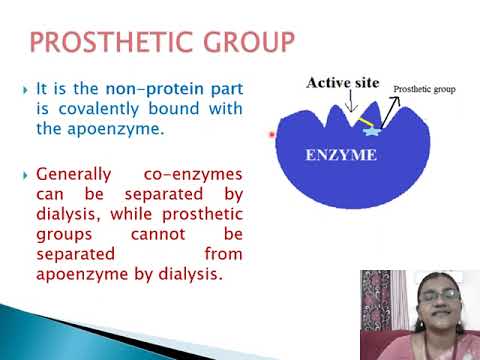 Introduction to Enzymology