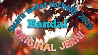 Download lagu SUARA WALET ORIGINAL terlaris 2019 paling bagus mp3 Download lagu SUARA WALET ORIGINAL terlaris 2019 paling bagus mp3