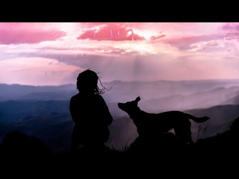 Enviado Vida - Best Of Times [Silk Music]