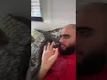 Grey Cat Bites Red Shirt Guy