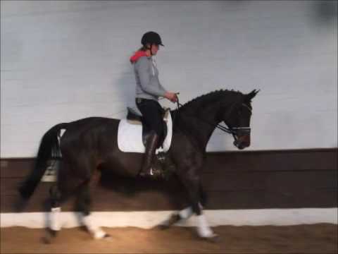 "BERLINALE" 6j. v. Benetton Dream - Sandro Hit  VB 9.000,- Euro