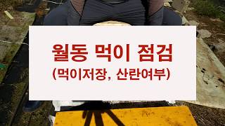월동 먹이 점검, 월동 먹이의 저밀 상태와 산란 여부 등 전반적인 내검