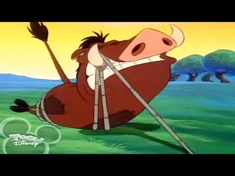 Timon & Pumbaa Season 1x32B - Washington Applesauce  Full Episode