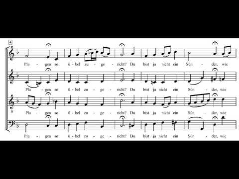 Bach: St. Matthew Passion - 37. Wer hat dich so geschlagen - Herreweghe