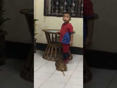 ເພິ່ນວ່າ...ໂປ່ກວດກ່ອນ 🥰