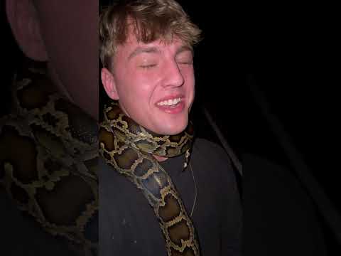 NUMBER 3 WILL SHOCK YOU 🤯 #aninals #snakes #herping