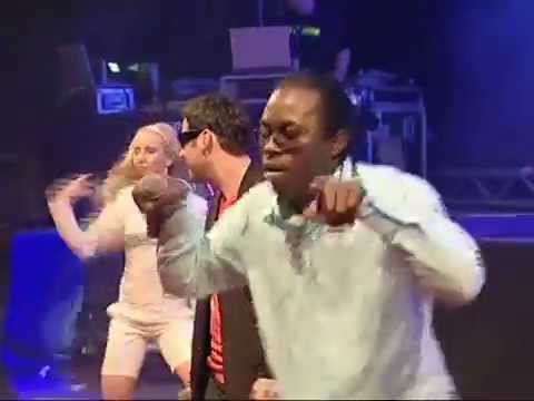 Fresh Fox - Sexy Lady