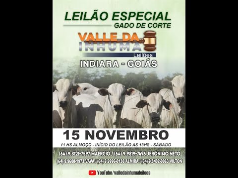 Indiara  - GO  15/11/2025