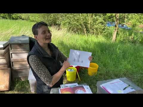 Live von Pias Bienenstand 28.5.21