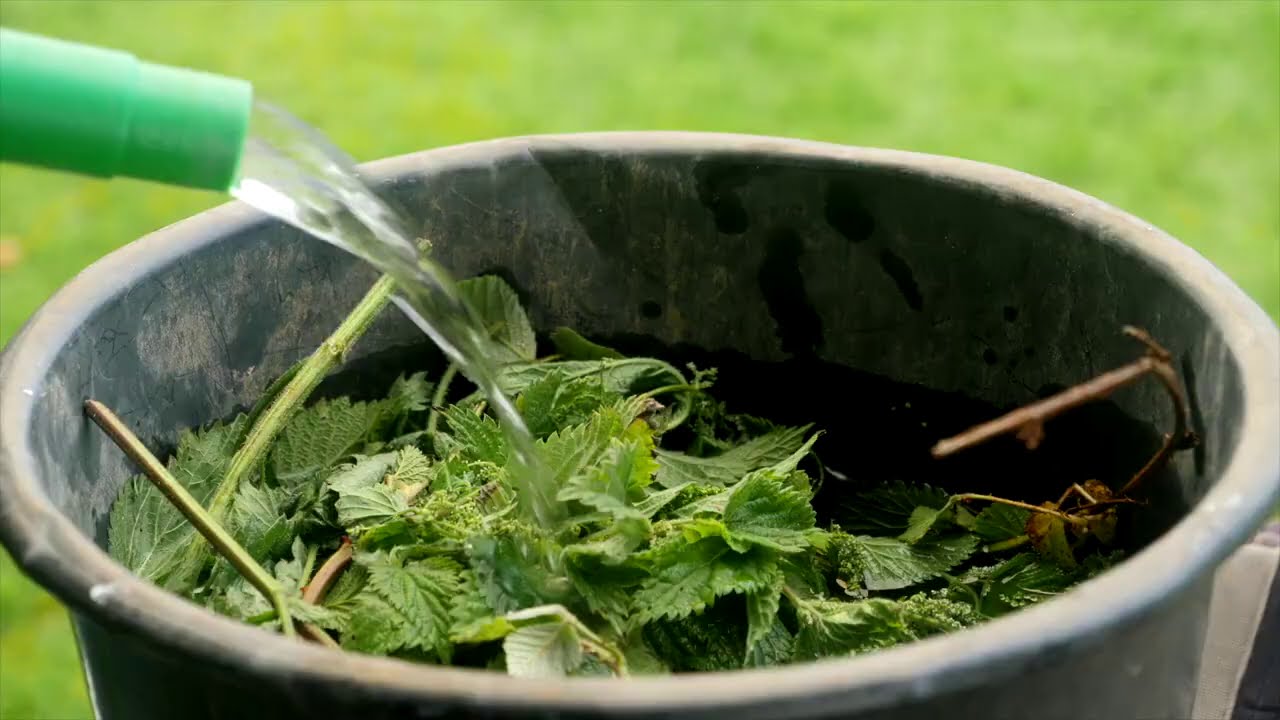 Resources GIY Ireland Ltd