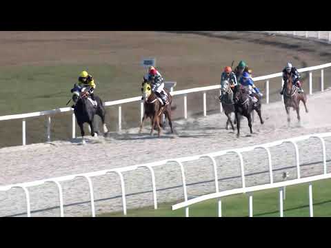 2019.11.17. 01. futam - ÜLLŐI HENDIKEP (IV.o.) (szintetikus pálya)