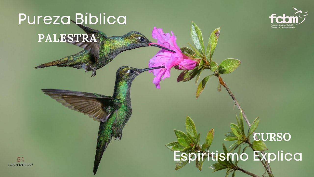 Palestra Pureza Bíblica, com Leonardo Vagner (94)