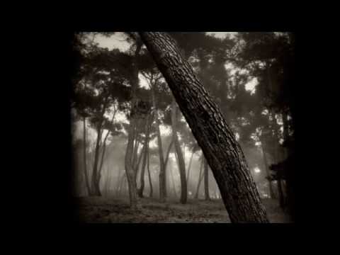 Marblebog - Marblebog