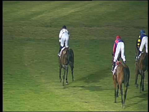 Galoppo 13/08/2016 - 5° corsa