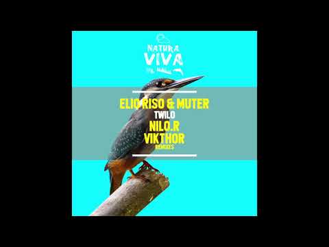 Elio Riso & Muter - Twilo (Vikthor Remix) [Preview]