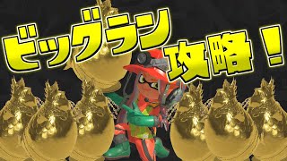 カンスト勢4人最強メンバーででビッグラン攻略するぞ！！ハルちゃん あとばるさん ろんつさん【スプラトゥーン3】