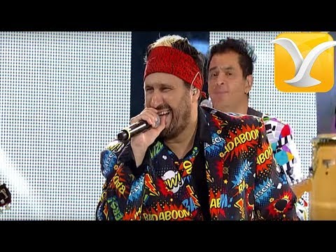 Los Auténticos Decadentes - Festival de Viña del Mar 2017 - Presentación Completa en vivo HD