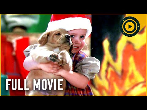 The 12 Dogs of Christmas (2004) Full Movie | Heartwarming Holiday Movie