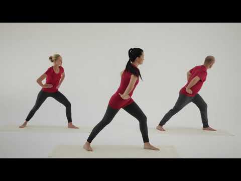 Lu Jong - Five Elements Movements
