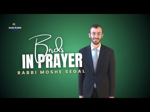 The Raven and the Return: Understanding Teshuva Through the Fifth Blessing