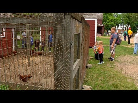Eidem Farm